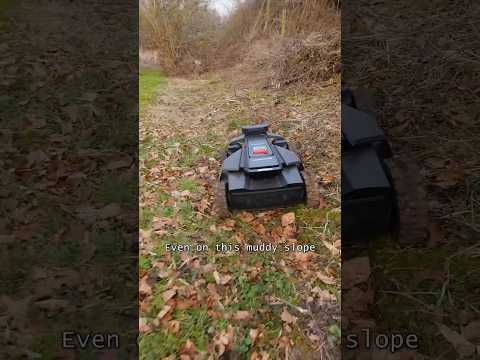 Can This Robot Handle My Chaos? | Navimow X450 Test — YouTube video thumbnail