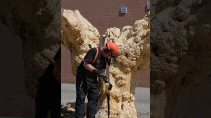 Turning a Maple Burl Tree into a Sculpture for a Client in NYC #woodartist #tools #construction — YouTube video thumbnail