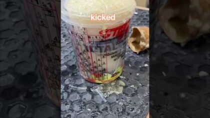 Custard Hardener & The Thousand Hand Washes. — YouTube video thumbnail
