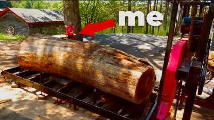 The Biggest Ash Tree I’ve Cut Yet… — YouTube video thumbnail