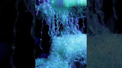 Hawaiian Leis Under Black Light! — YouTube video thumbnail