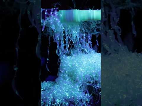 Hawaiian Leis Under Black Light! — YouTube video thumbnail
