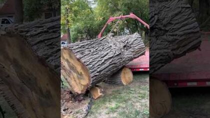 No truck access; no problem #buroak #sawmill — YouTube video thumbnail